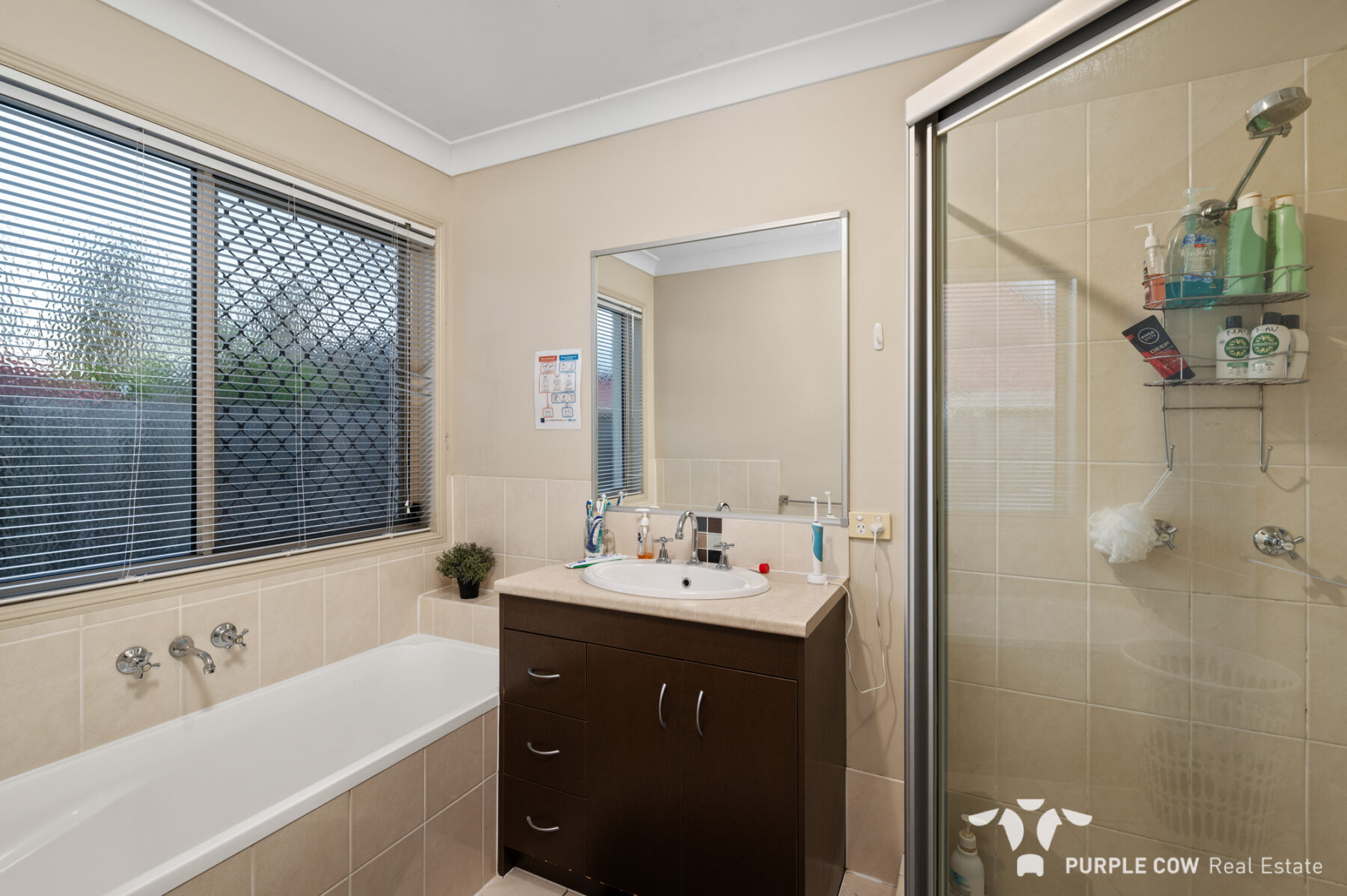 Property: 3 North Shore Way, Springfield Lakes, QLD, 4300 photo-6