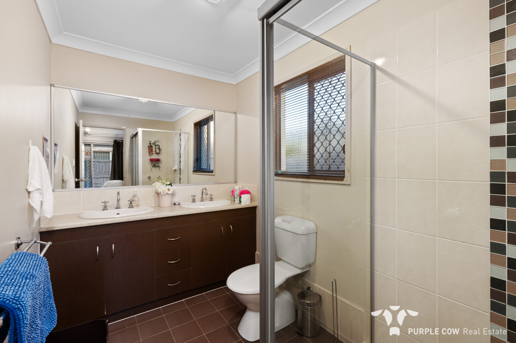 Property: 3 North Shore Way, Springfield Lakes, QLD, 4300 photo-7