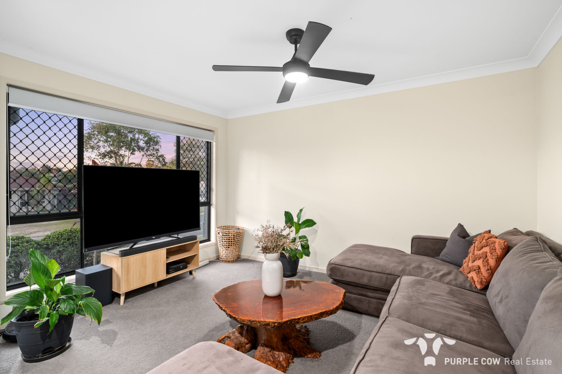 Property: 12 Orchard Crescent, Springfield Lakes, QLD, 4300 photo-3
