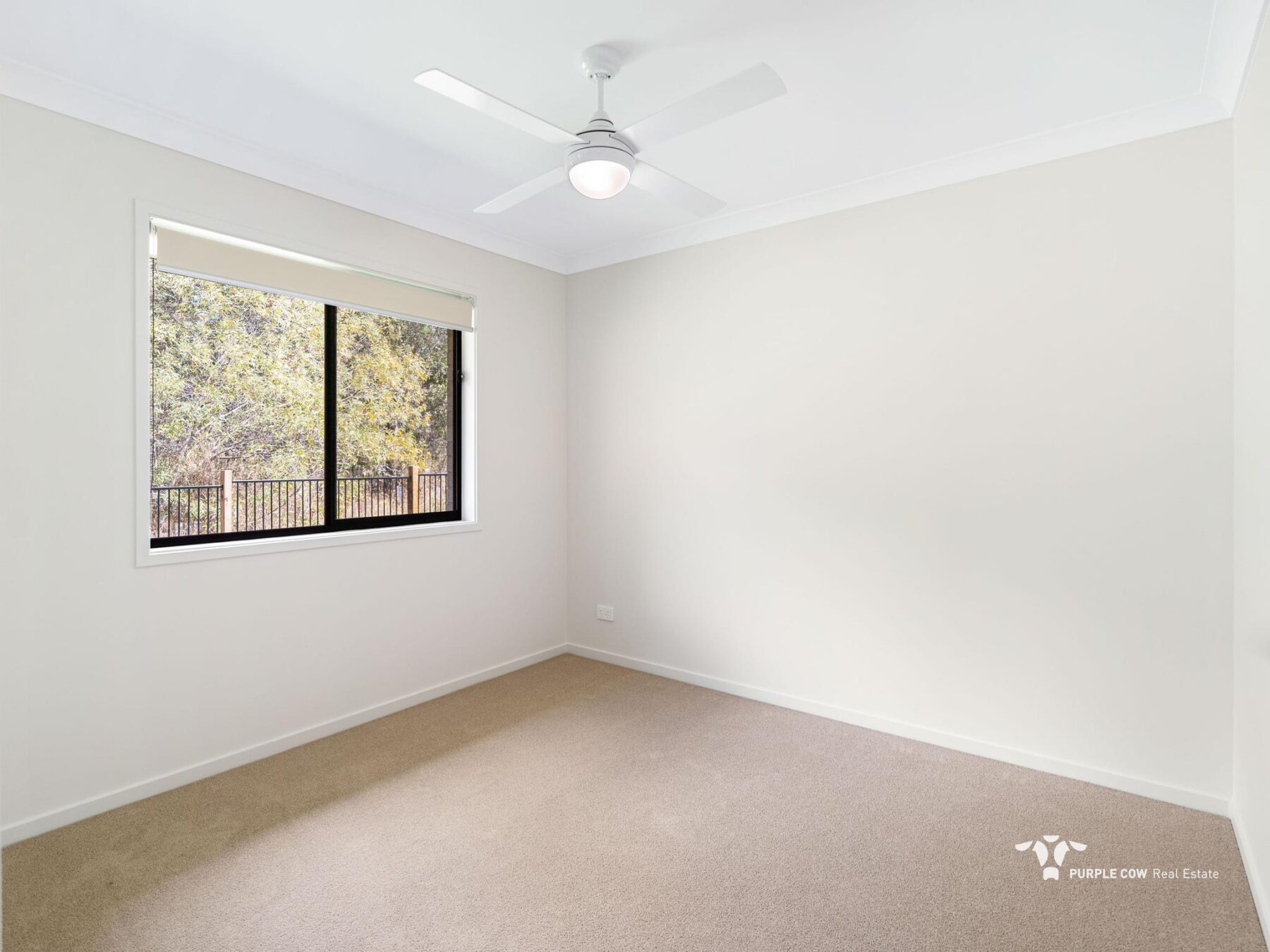 Rental: Rosewood, QLD, 4340 photo-10