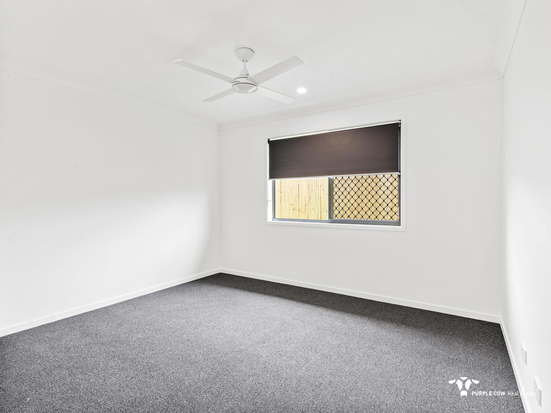 Rental: Plainland, QLD, 4341 photo-7