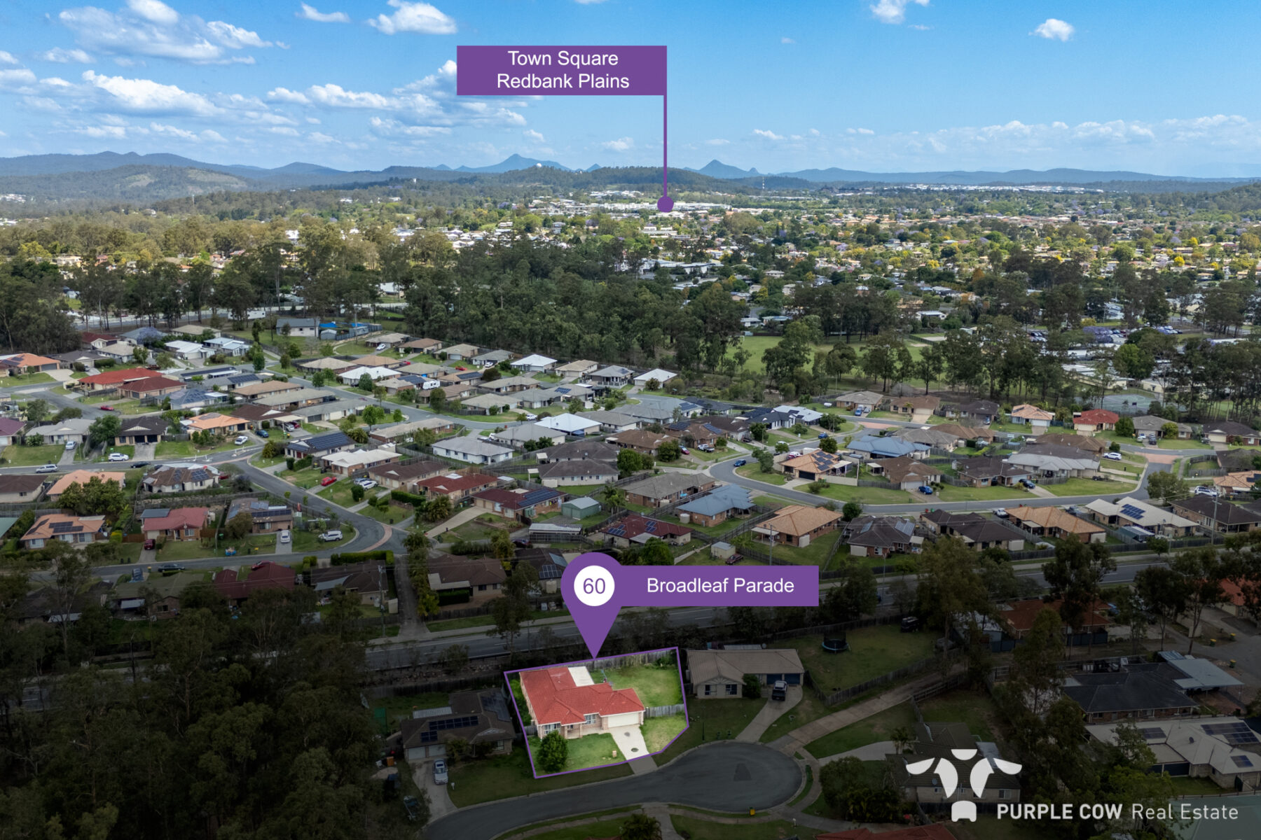Property: 60 Broadleaf Parade, Redbank, QLD, 4301 photo-18