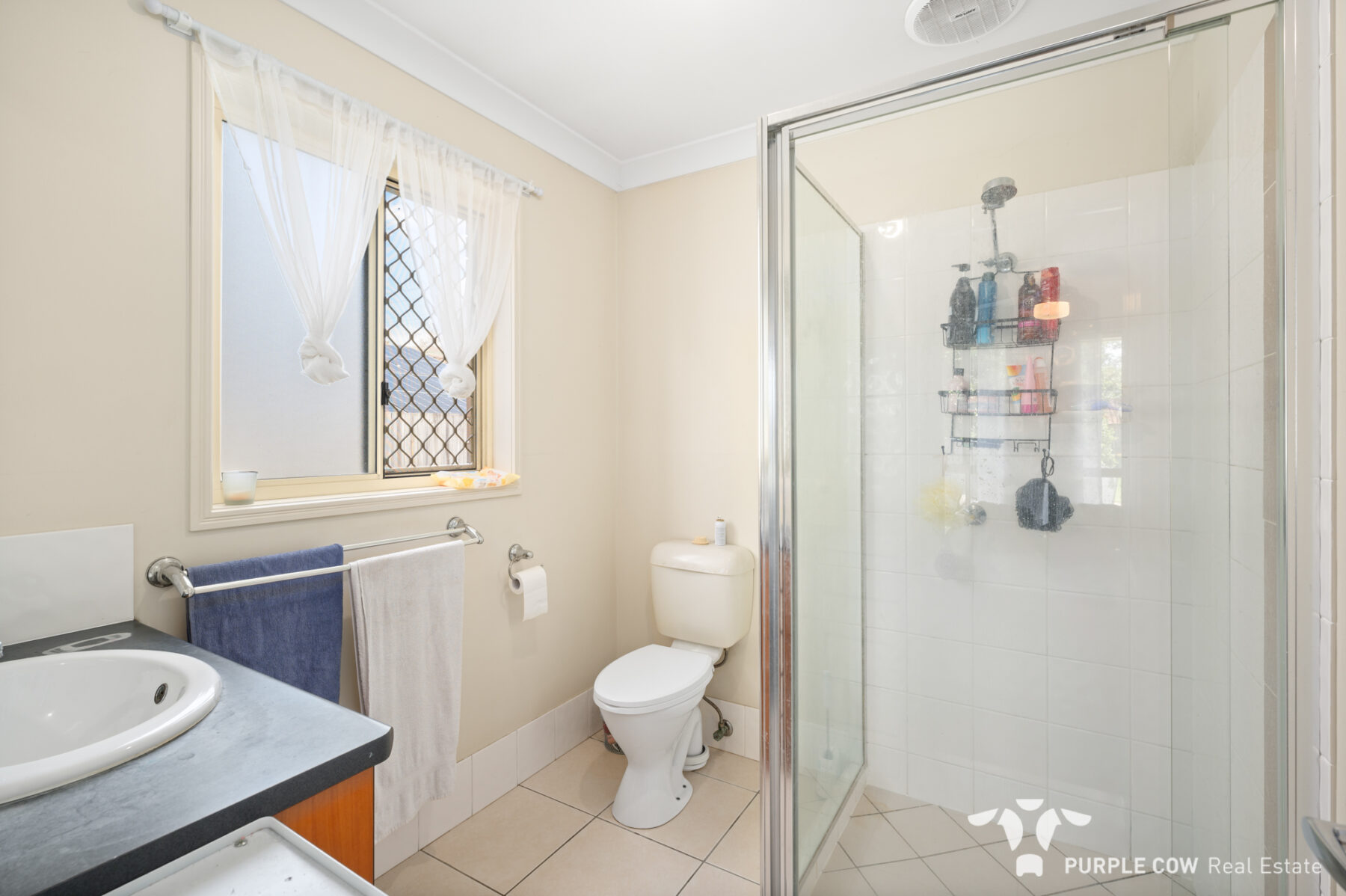 Property: 60 Broadleaf Parade, Redbank, QLD, 4301 photo-9