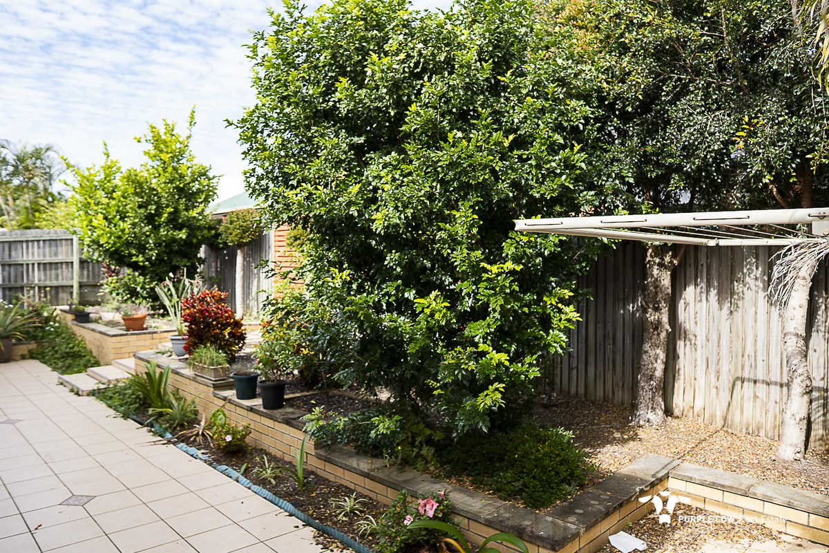 Rental: Springfield Lakes, QLD, 4300 photo-13