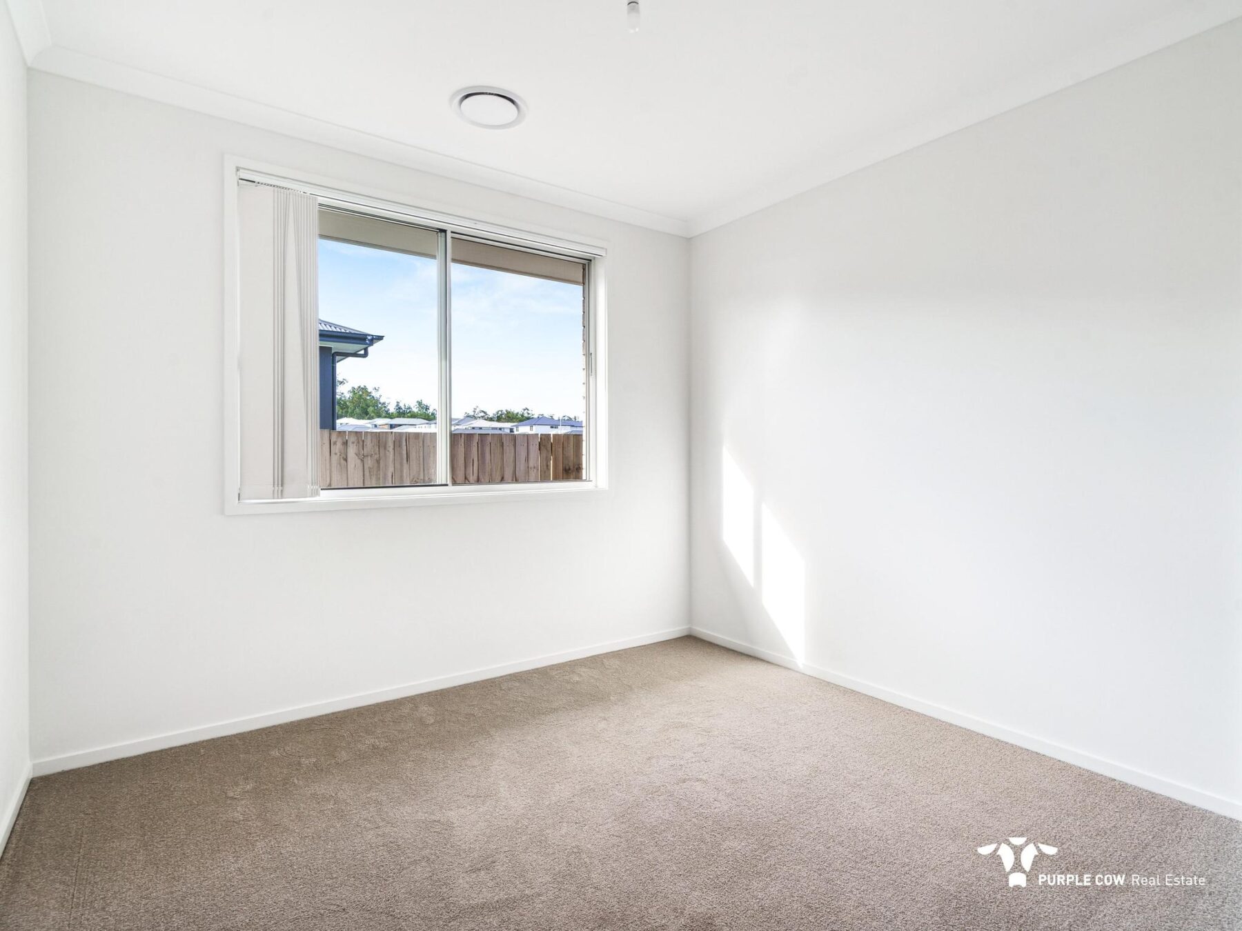 Rental: 1 Alberg Street, Spring Mountain, QLD, 4300 photo-9