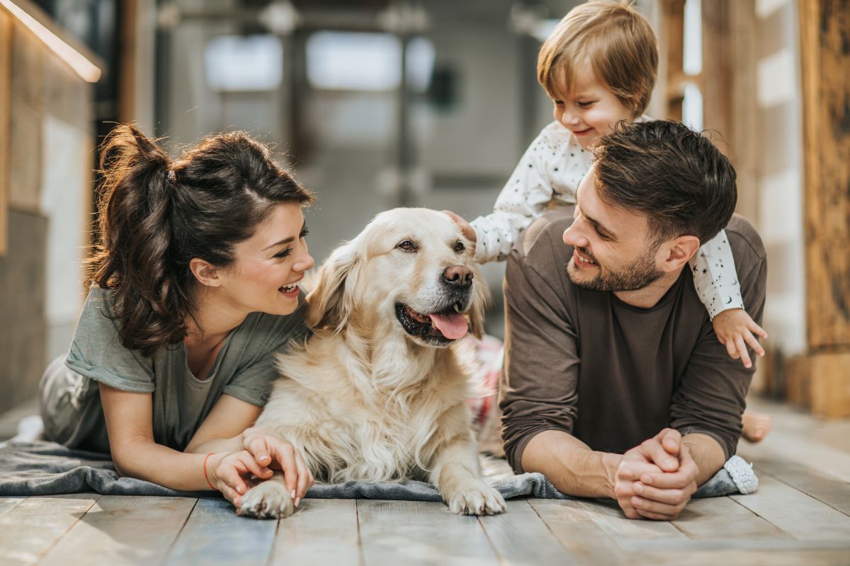 Tips to create a pet-friendly Greater Springfield home