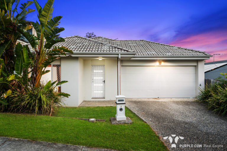 9 Madeira Street, Springfield Lakes