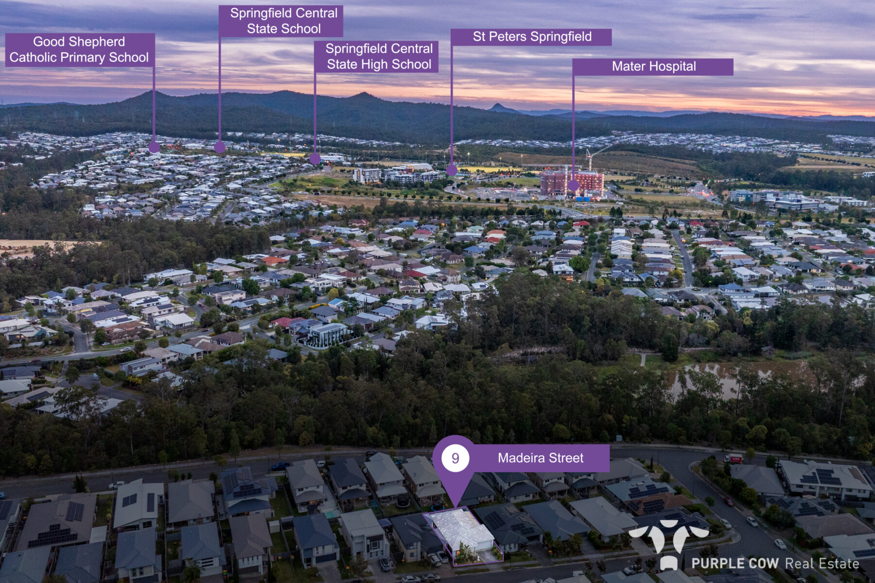 Property: 9 Madeira Street, Springfield Lakes, QLD, 4300 photo-12