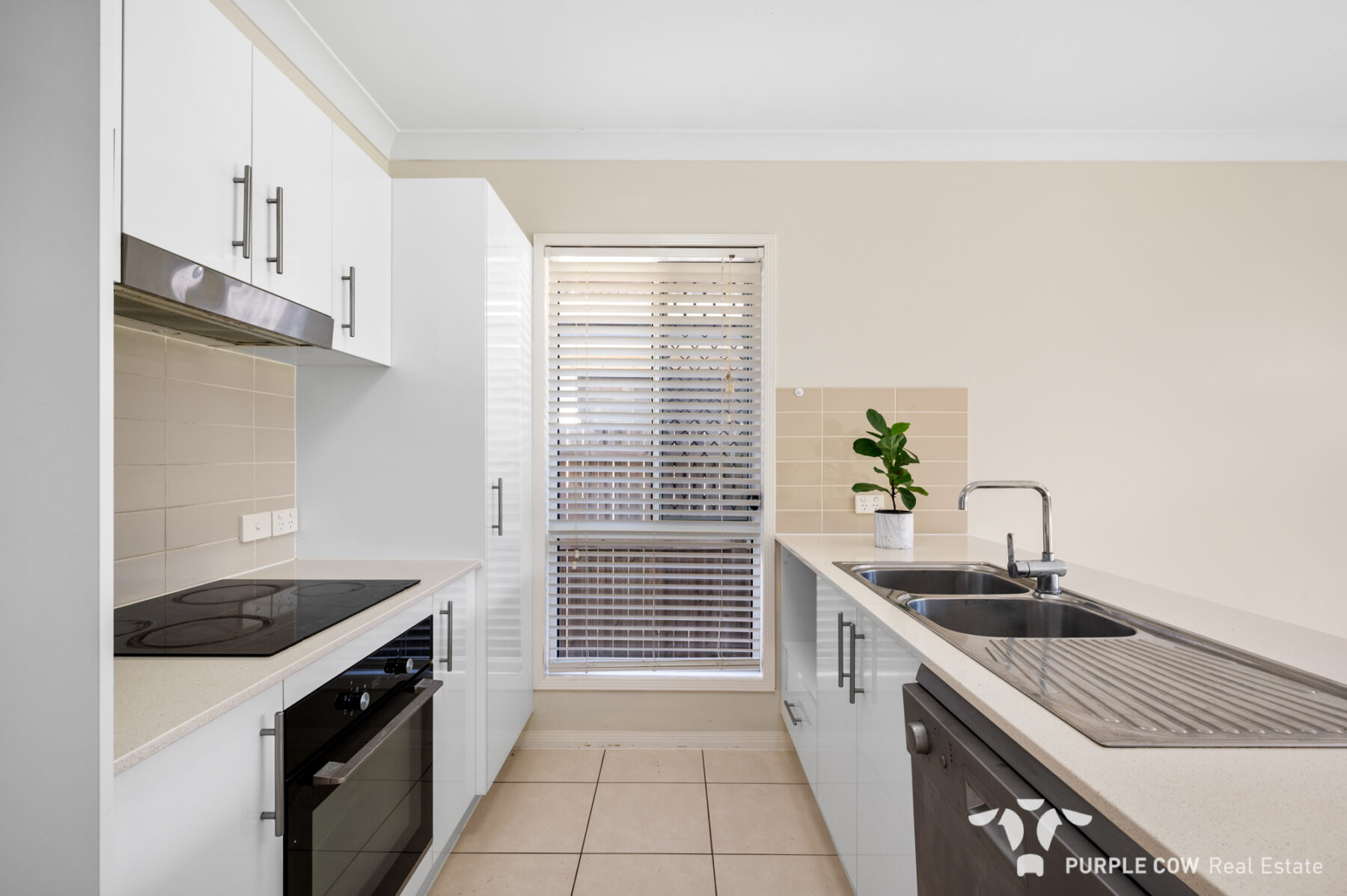 Property: 19 Combs Street, Yarrabilba, QLD, 4207 photo-5