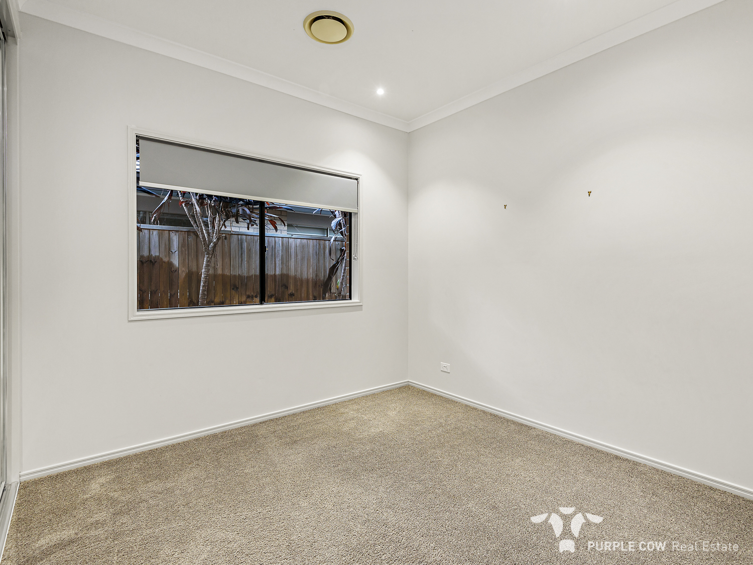 Rental: South Ripley, QLD, 4306 photo-5