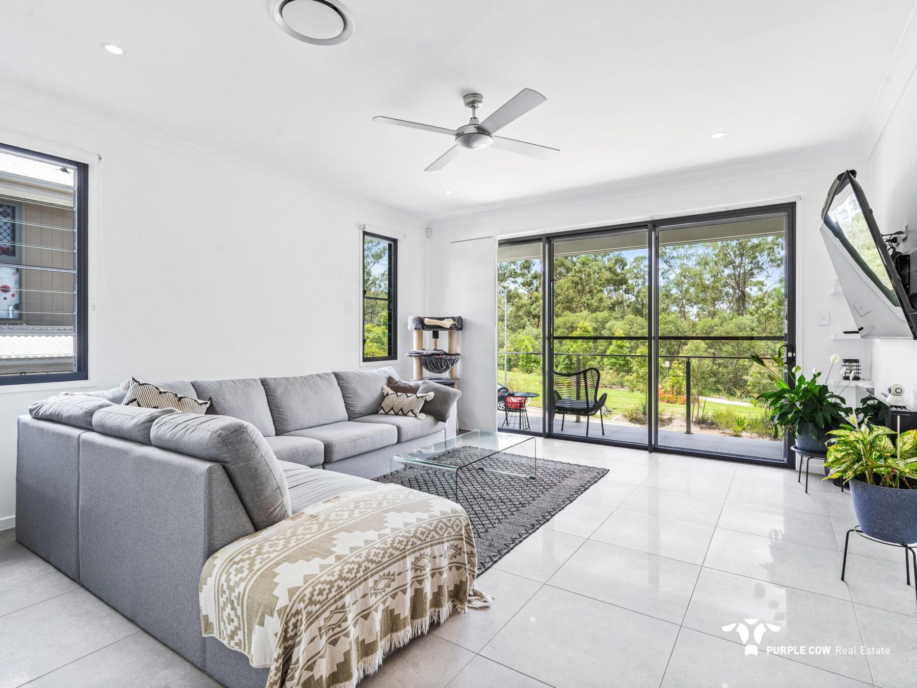 Property: 51 Sierra Drive, Spring Mountain, QLD, 4300 photo-3