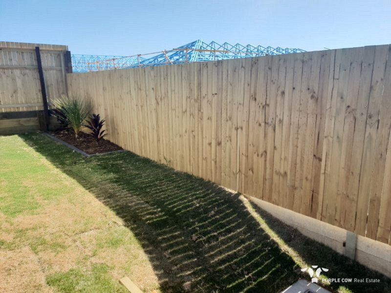 Rental: 3 Reg Grundy Street, Ripley, QLD, 4306 photo-9