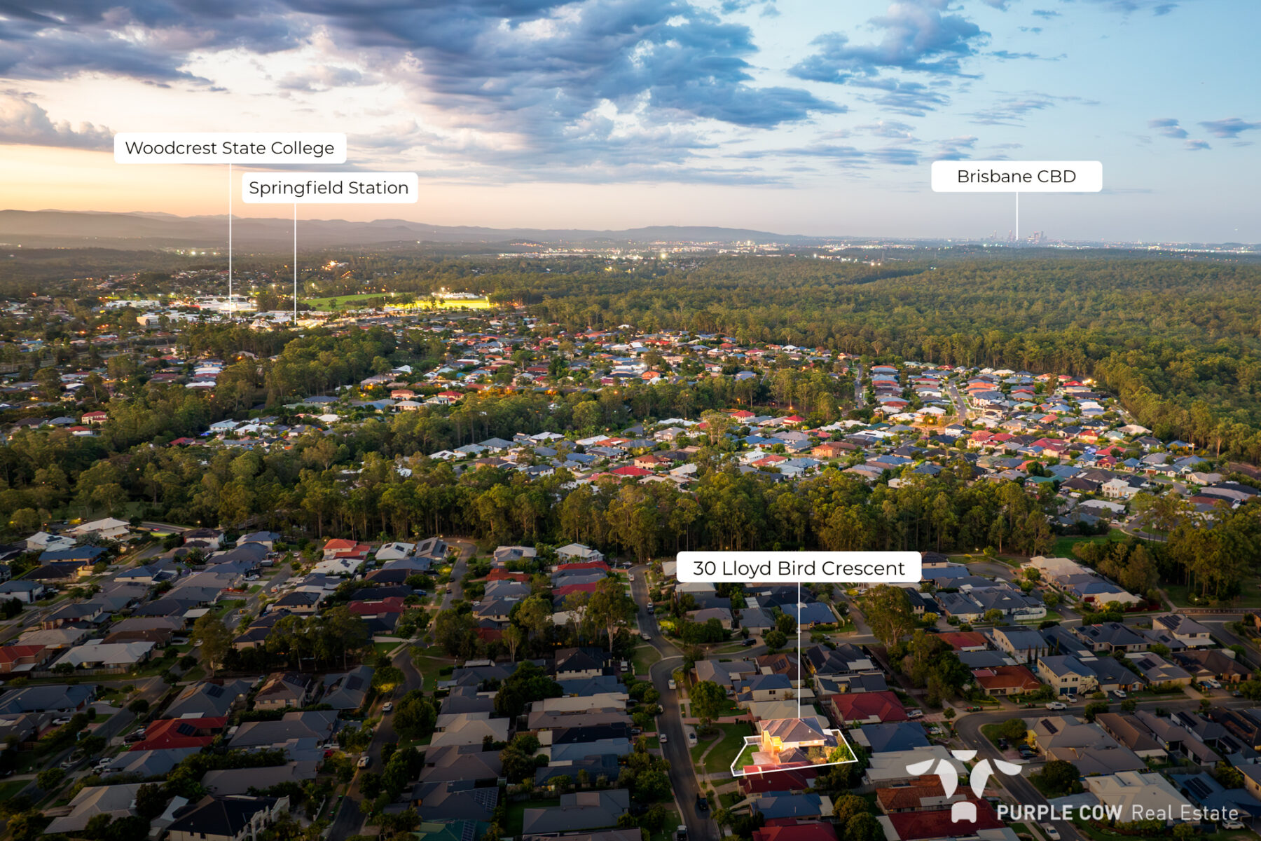 Property: 30 Lloyd Bird Crescent, Springfield Lakes, QLD, 4300 photo-18