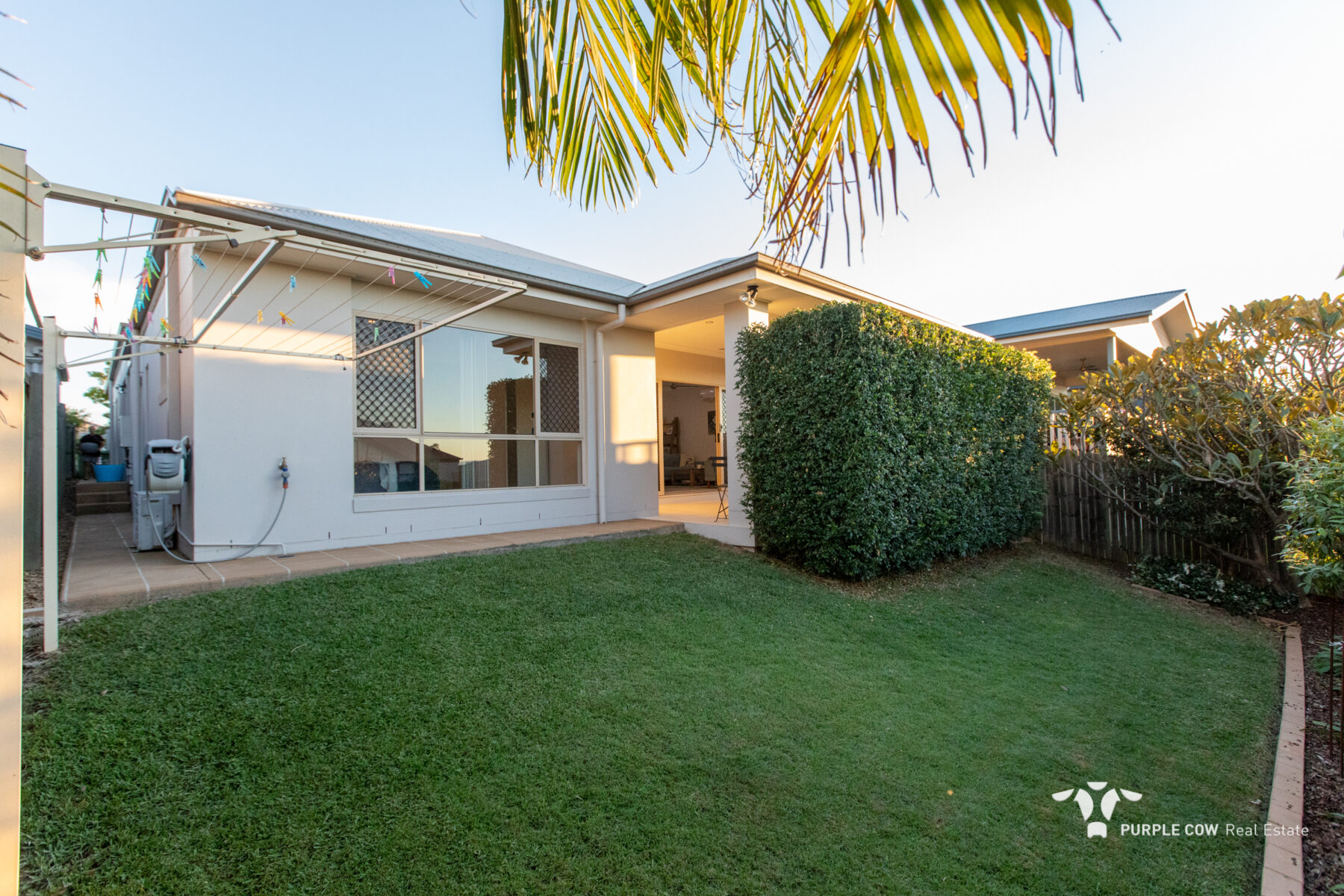 Rental: 19 The Promenade, Springfield Lakes, QLD, 4300 photo-5