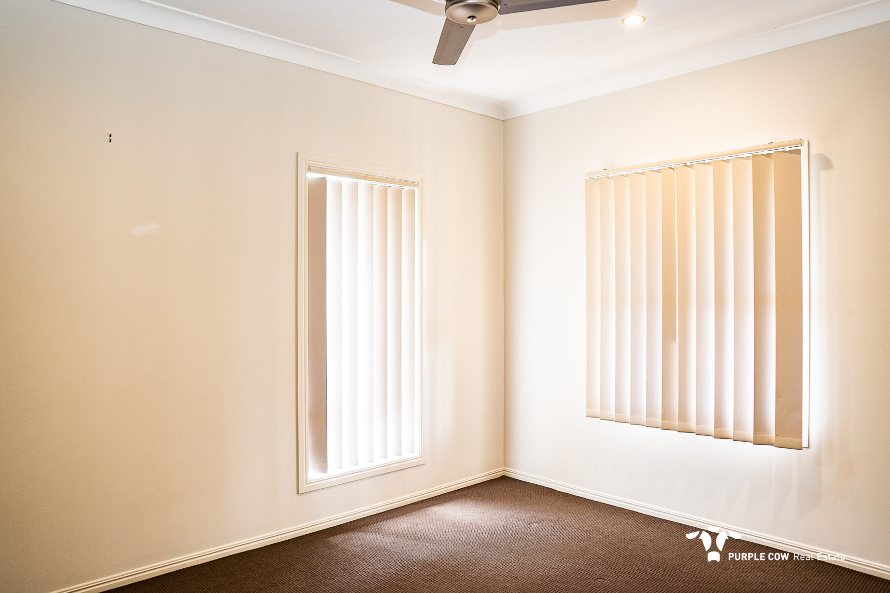 Rental: 19 Grand Canyon Drive, Springfield Lakes, QLD, 4300 photo-6