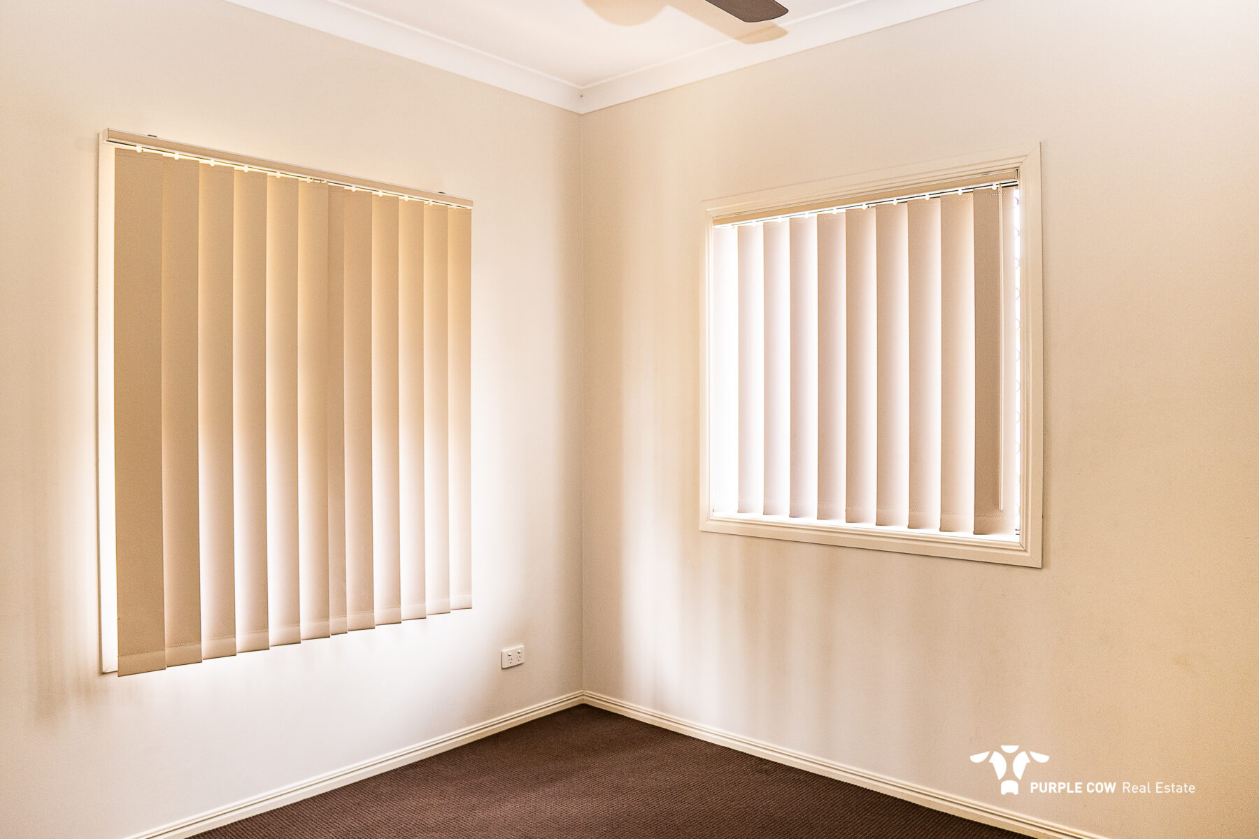 Rental: 19 Grand Canyon Drive, Springfield Lakes, QLD, 4300 photo-8