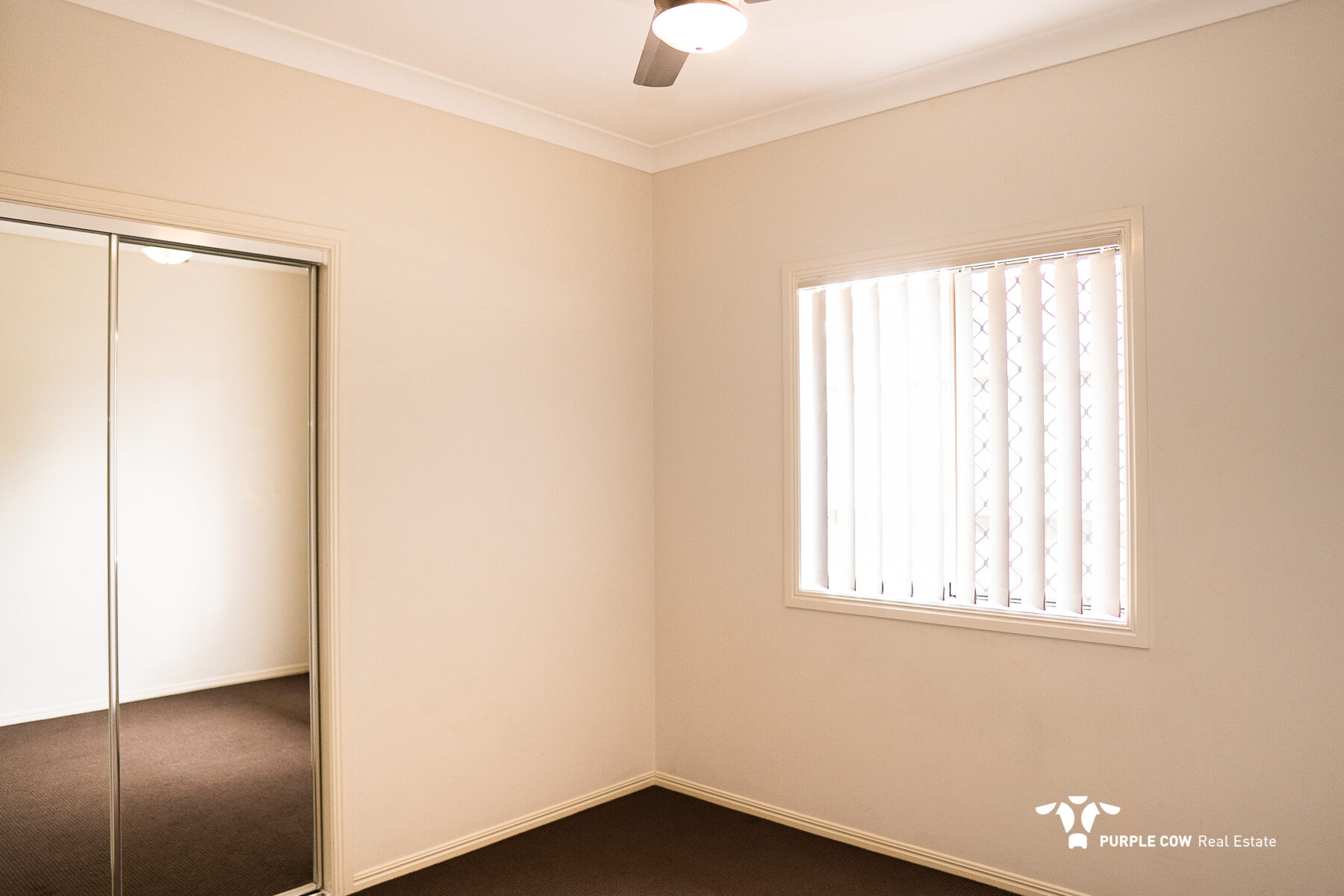 Rental: 19 Grand Canyon Drive, Springfield Lakes, QLD, 4300 photo-9