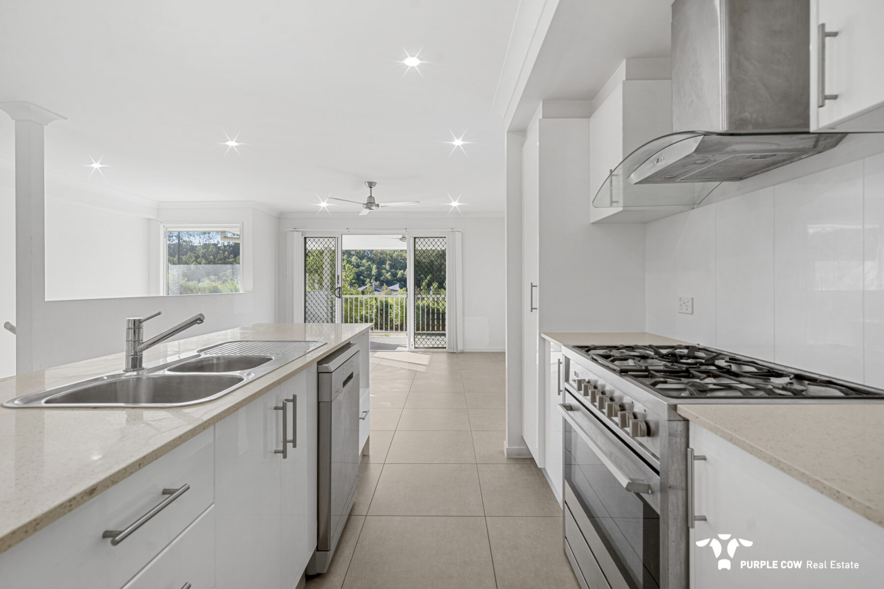 Rental: 102 Russell Luhrs Way, Spring Mountain, QLD, 4300 photo-4