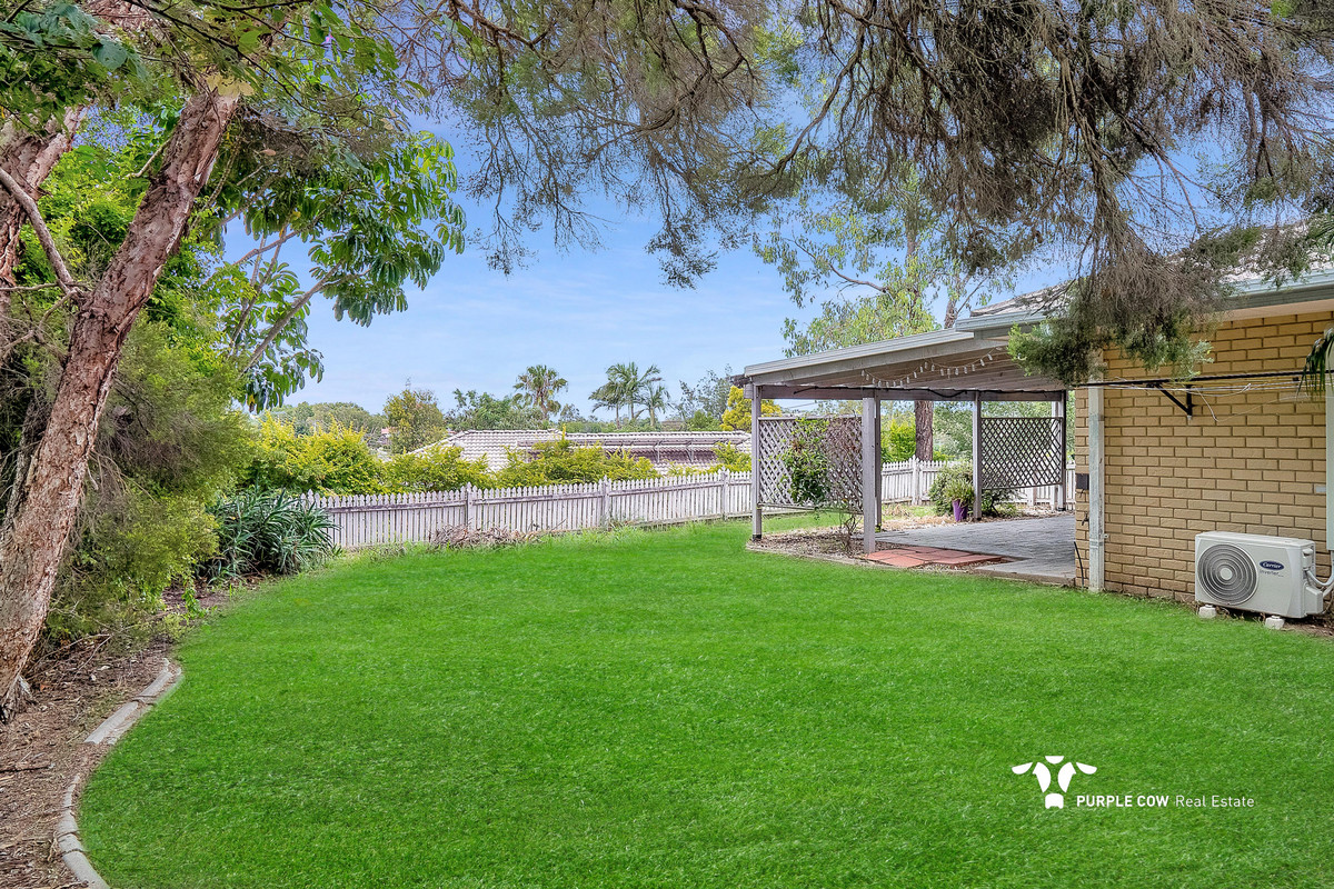 Rental: 135 Collingwood Drive, Collingwood Park, QLD, 4301 photo-5