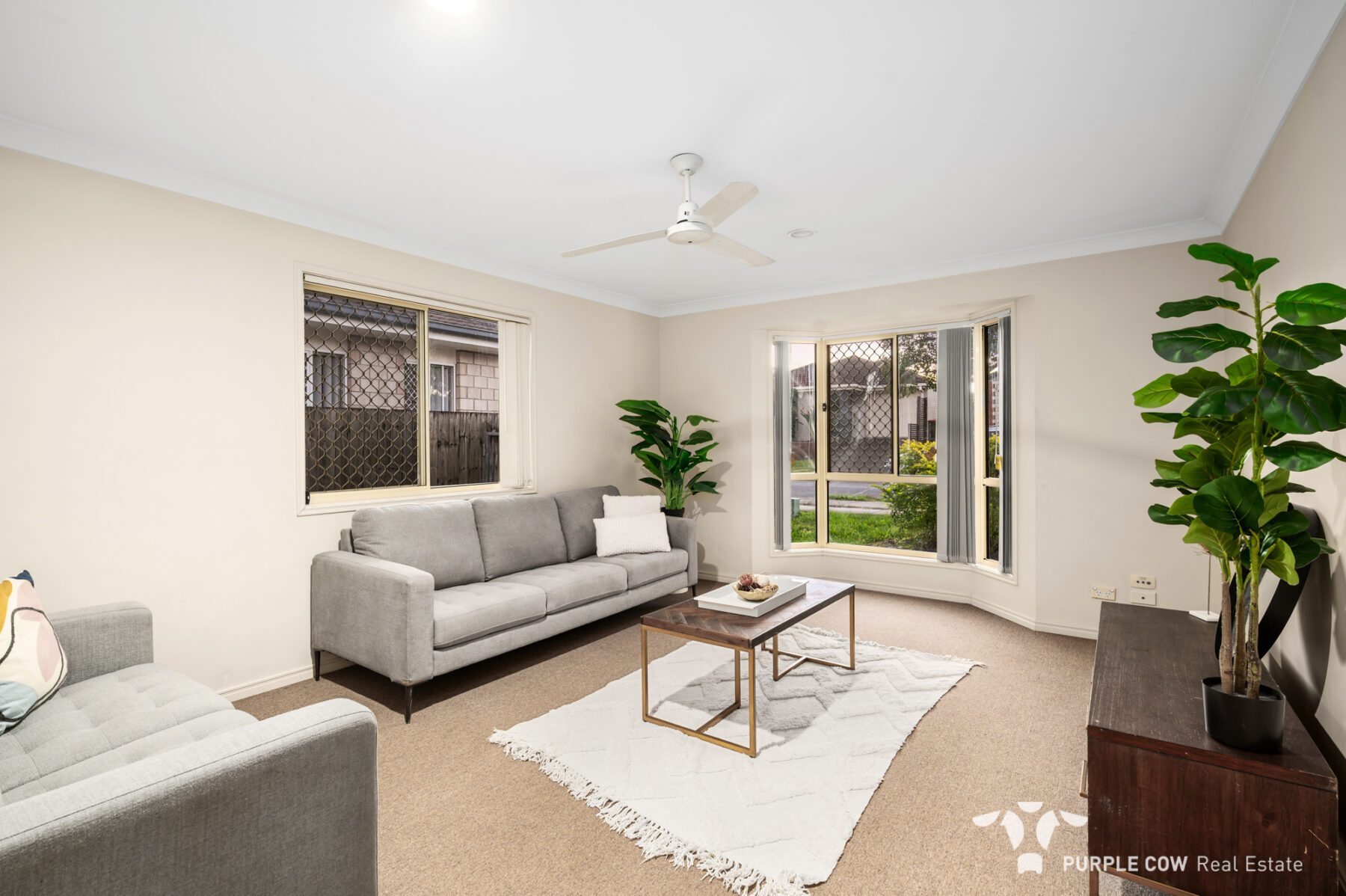 Property: 21 Ellen Circuit, Springfield Lakes, QLD, 4300 photo-2