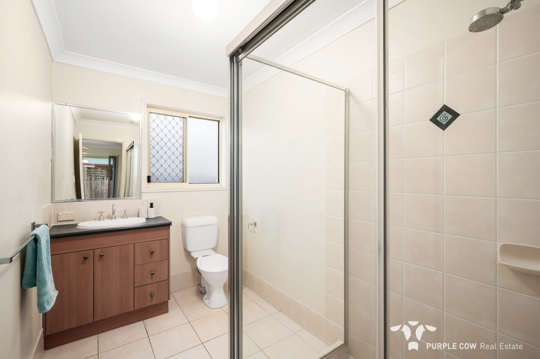 Property: 21 Ellen Circuit, Springfield Lakes, QLD, 4300 photo-14