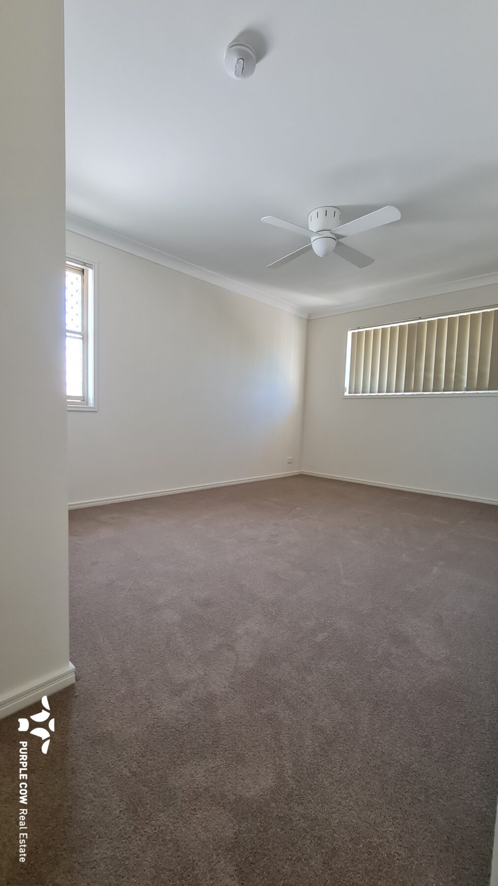 Rental: Springfield Lakes, QLD, 4300 photo-8