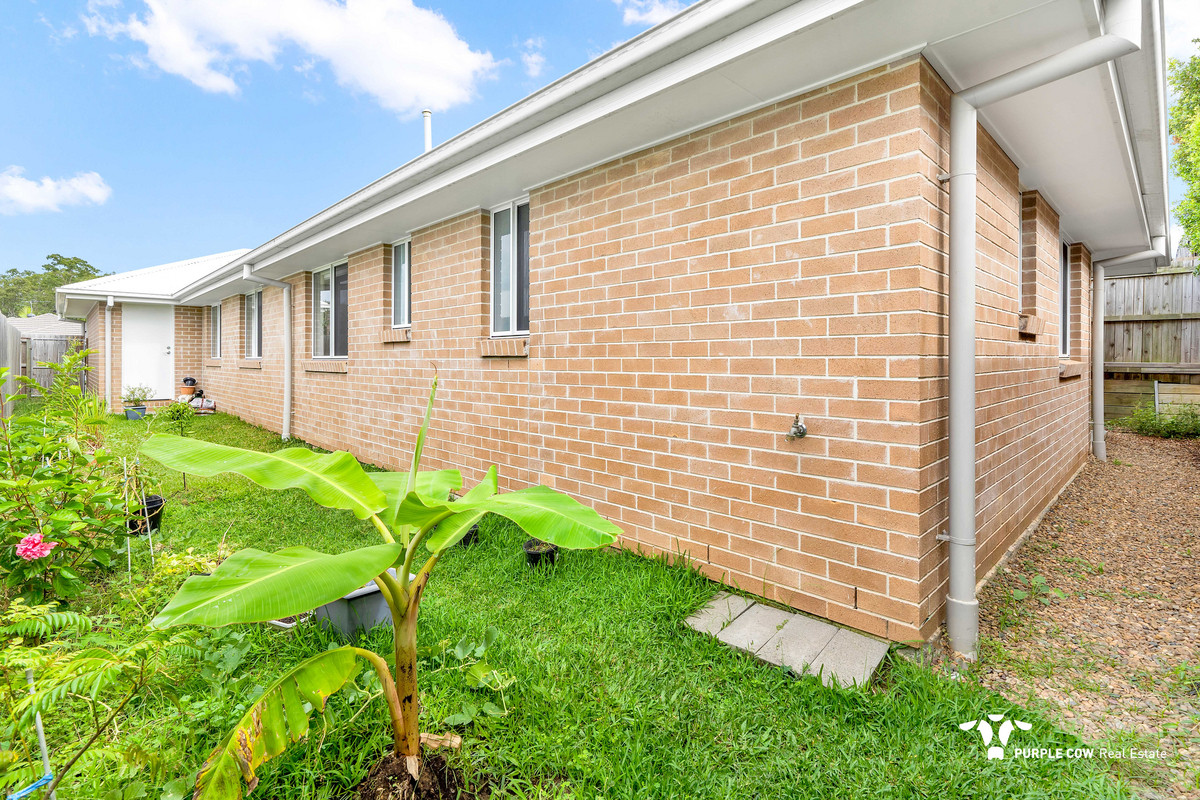 Rental: 5 Pintail Circuit, Deebing Heights, QLD, 4306 photo-9