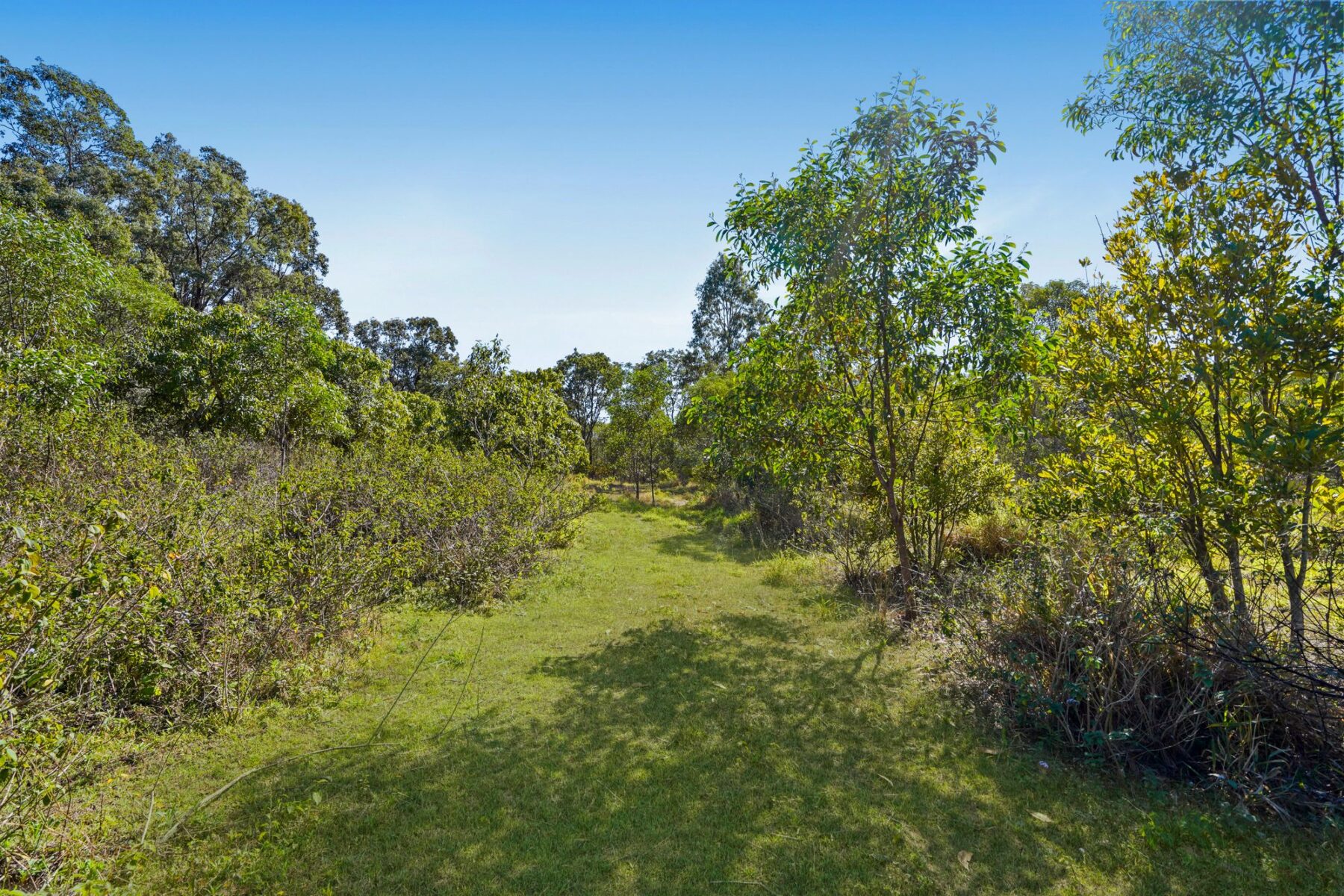 Rental: Redbank Plains, QLD, 4301 photo-22