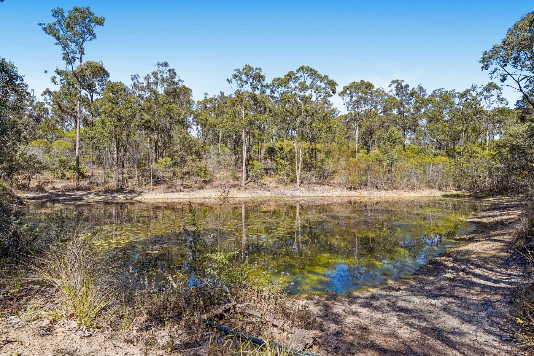 Rental: Redbank Plains, QLD, 4301 photo-23